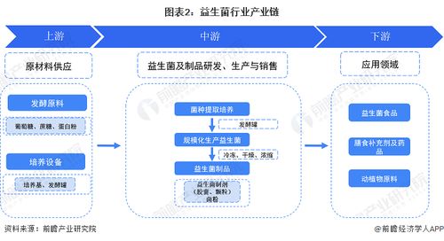 2023年中國益生菌行業全景圖譜 市場規模、競爭格局與發展前景分析