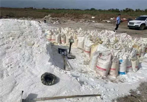假鹽泛濫，五百余噸地下鹽場被摧毀